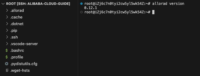 allorad Version Output